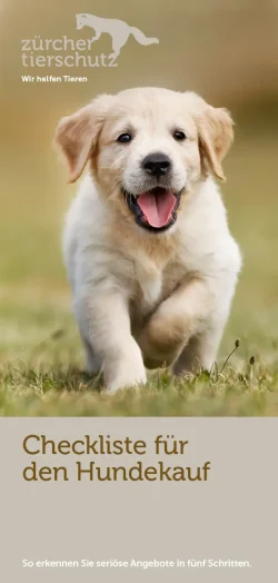 Checkliste_Hundekauf